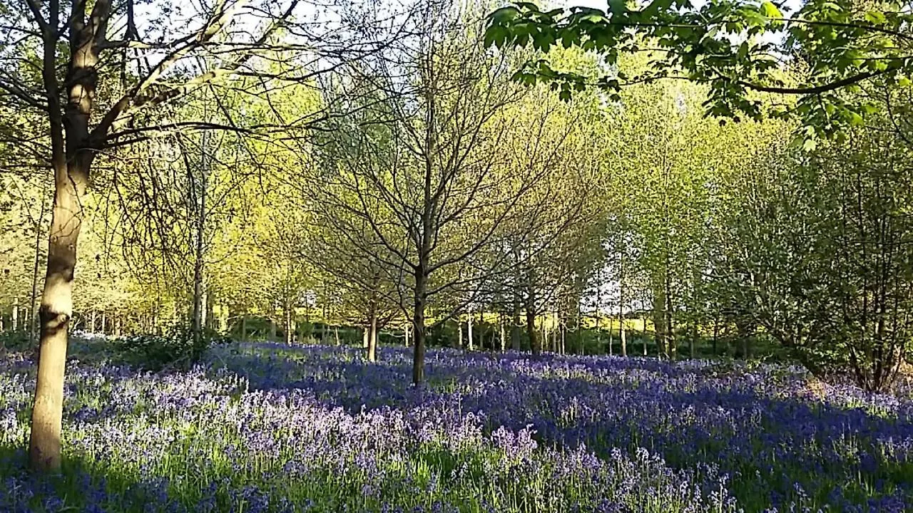Hollicarrs - Long Lane Lodge York United Kingdom